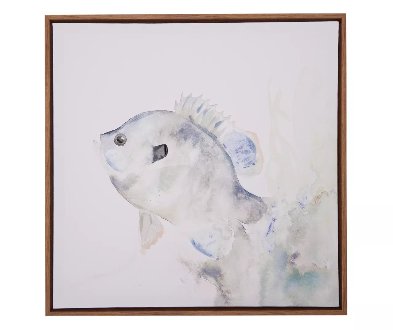 Blue & Brown Fish 2 Framed Canvas