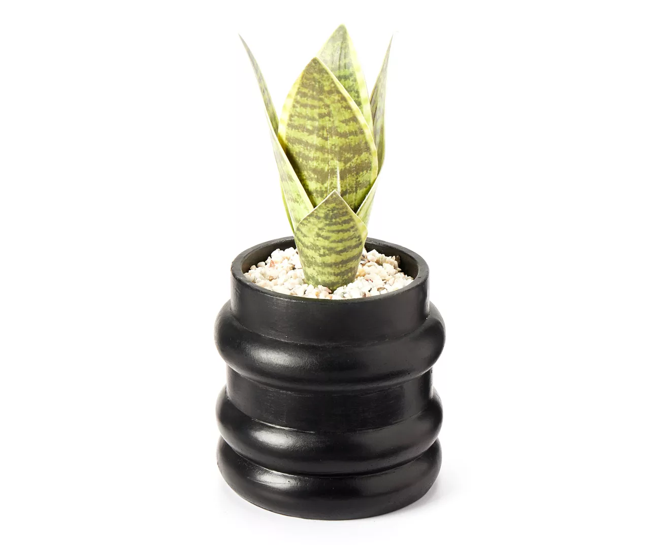 Wild Sedona Artificial Succulent In Black Ribbed Cement Pot