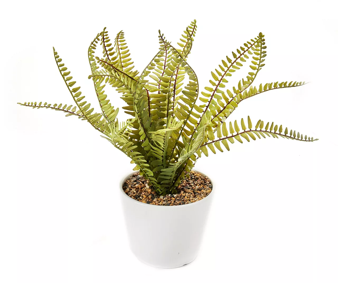 Artificial Fern In White Round Ceramic Pot