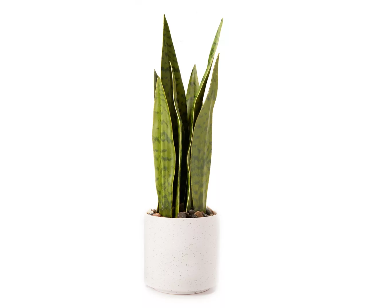 Wild Sedona Artificial Snake Plant With White Ceramic Pot